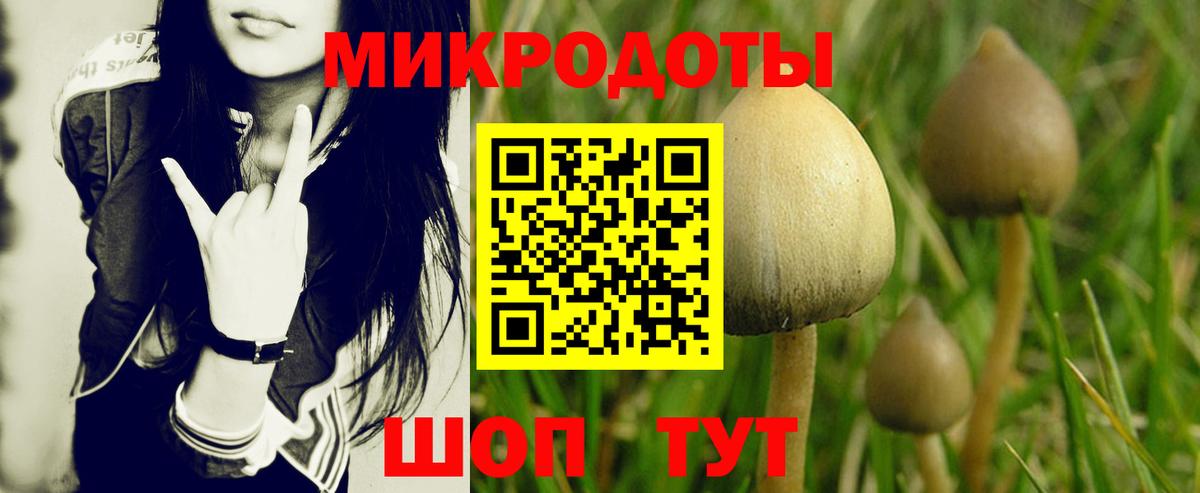 Лангепас  Галлюциногенные грибы мухоморы  Вход с VPN  Галлюциногенные грибы Psilocybe 